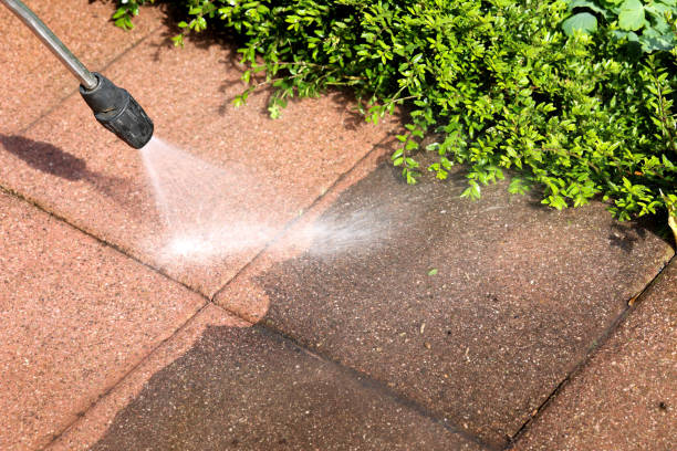 Best Eco-Friendly Pressure Washing in Bloomfield, MO